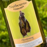 Nutbourne Chardonnay 2014