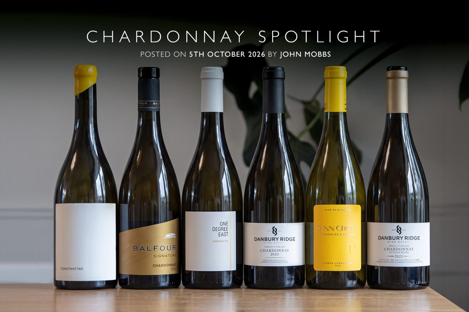 BannerHD_SPotlightChardonnay